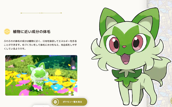 御三家最終形態