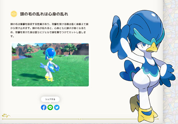 御三家最終形態