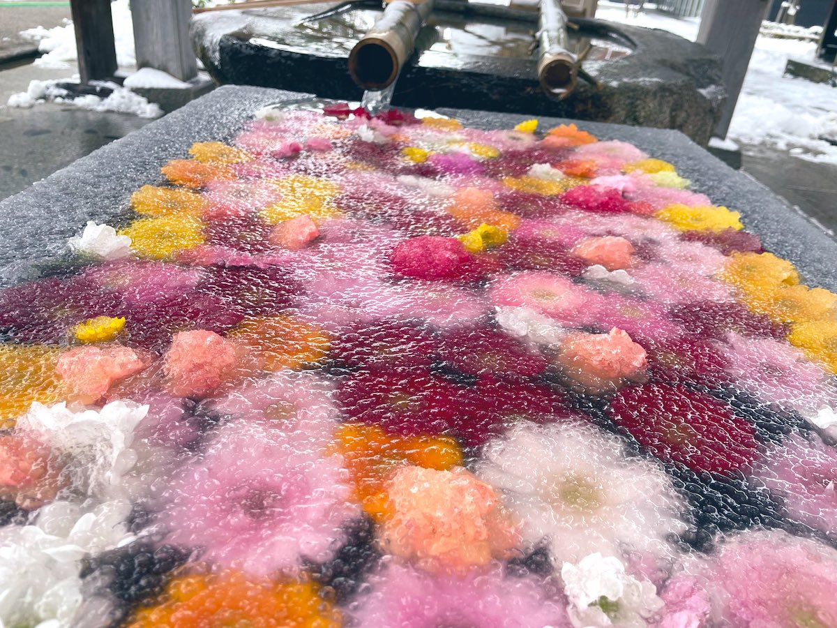神社の「花手水」が寒さのあまり氷漬けに　冬ならではの風情ある光景に「素敵です」「冷凍保存されてますね」