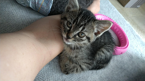 べったりくっつく小さい頃のららちゃん