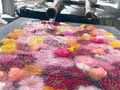 神社の「花手水」が寒さのあまり氷漬けに　冬ならではの風情ある光景に「素敵です」「冷凍保存されてますね」