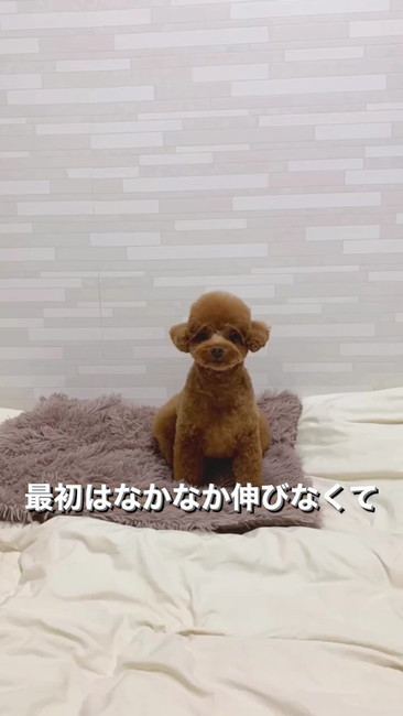 なかなか伸びなくて