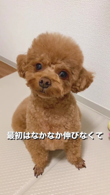 なかなか伸びないアップ