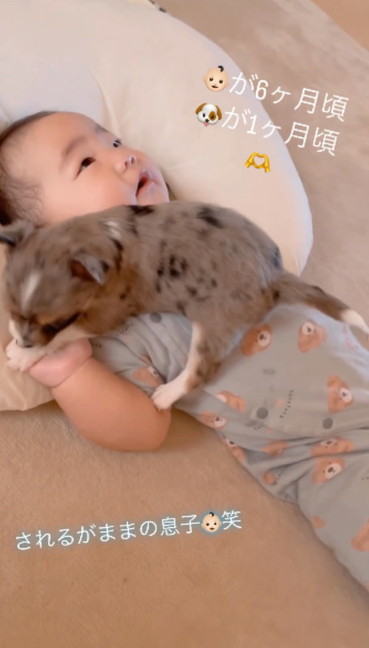 見つめる赤ちゃん