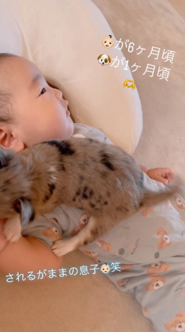 動じない赤ちゃん