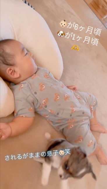 されるがままの赤ちゃん