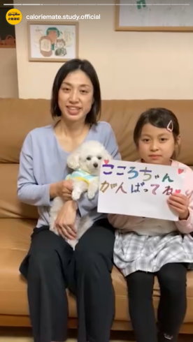 カロリーメイト受験生応援2023