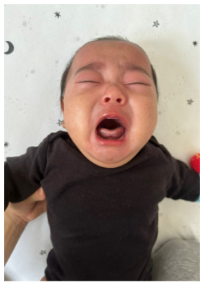 才賀紀左衛門と事実婚の妻・絵莉の息子