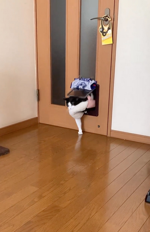 オススメ