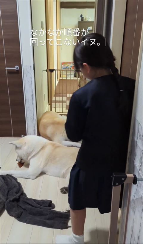 部屋に入ってくるお姉ちゃん