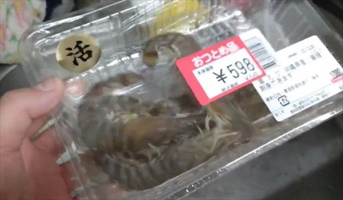 飛び出しそうな車エビ