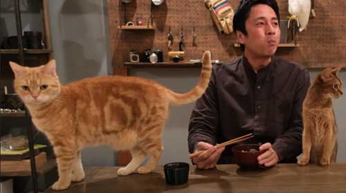 徳井義実さんと猫2匹