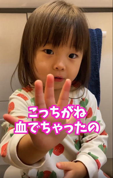 お風呂に入れなかった理由を深刻な顔で語る2歳児との会話
