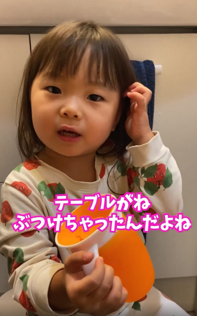 お風呂に入れなかった理由を深刻な顔で語る2歳児との会話