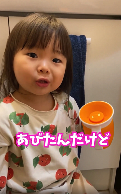 お風呂に入れなかった理由を深刻な顔で語る2歳児との会話