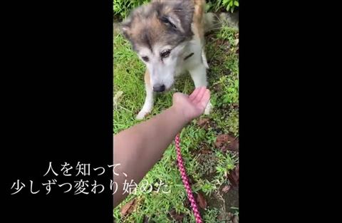 少しずつ変わり始めたテロップ