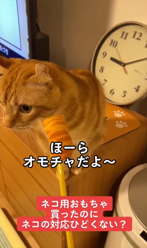 ほ〜らおもちゃだよテロップ