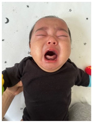 才賀紀左衛門の息子