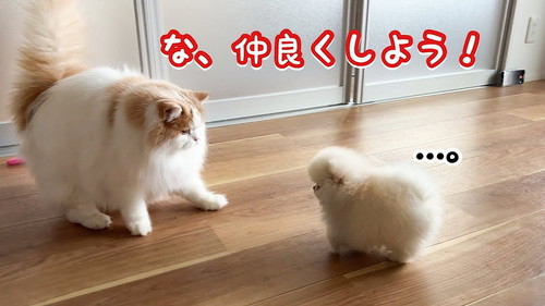オススメ