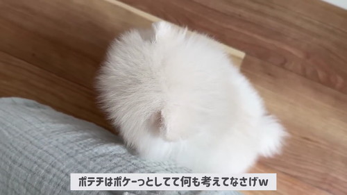 何も考えてない