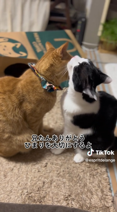 エン兄ちゃんありがとう