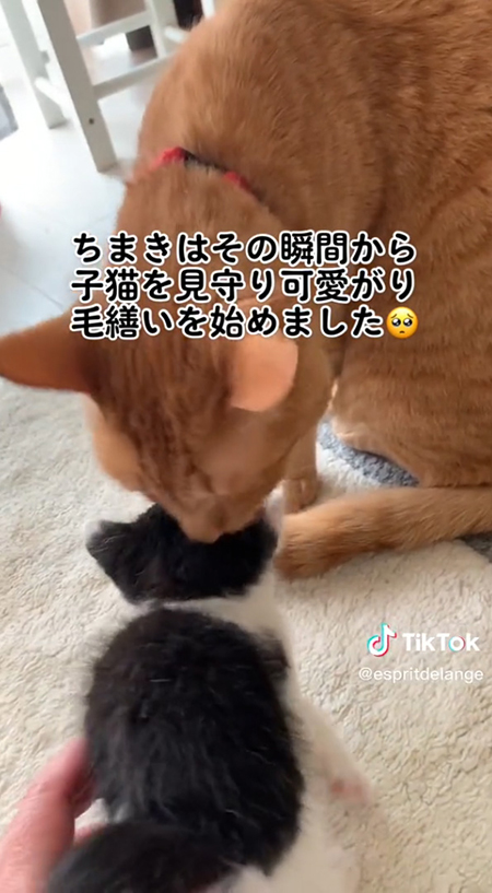 ちまきはその瞬間から