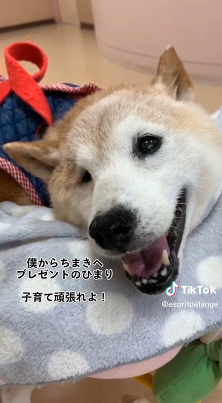 子育てがんばれよ