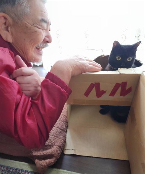 ルル箱に入ってる猫とお父さん