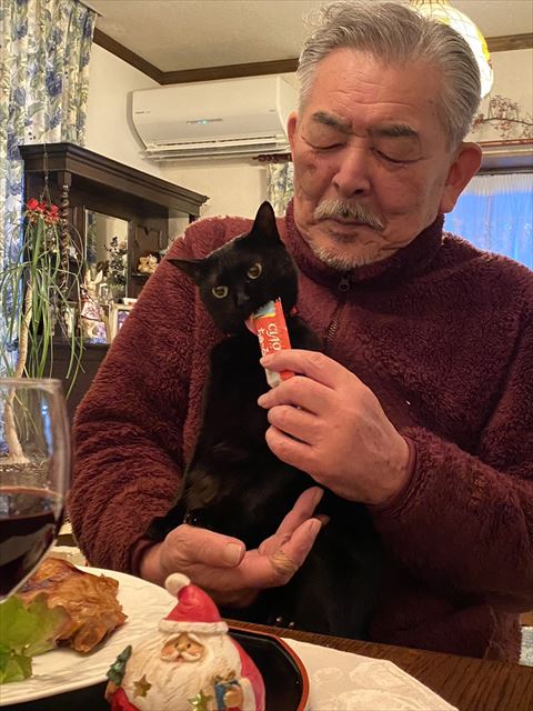 チュール食べる猫