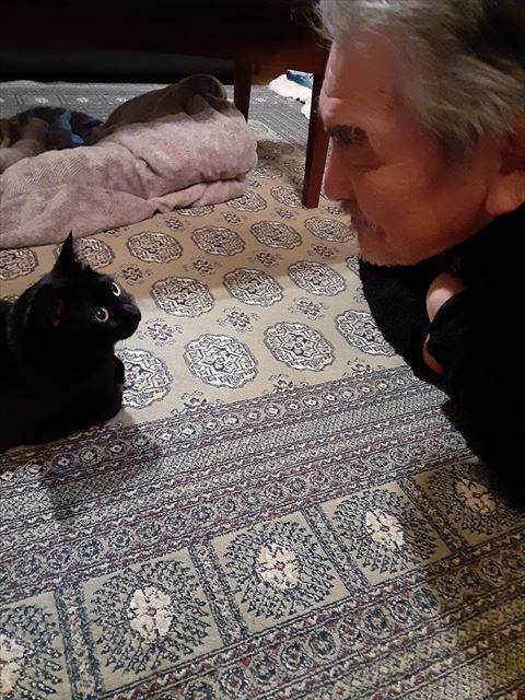 お父さんと猫ちゃん香箱座り