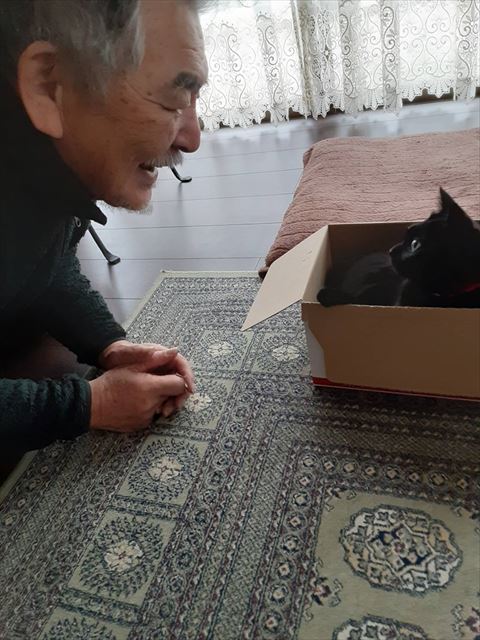 箱に入る猫と笑顔で話しかけるお父さん