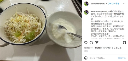 第1子妊娠中の丸山桂里奈の食事