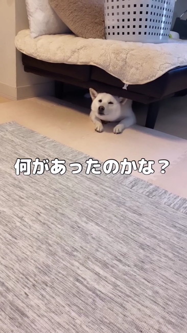 何があった