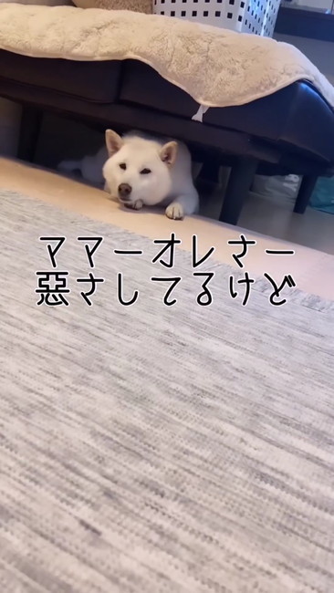 悪さしてる