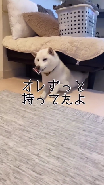 ずっと持ってた