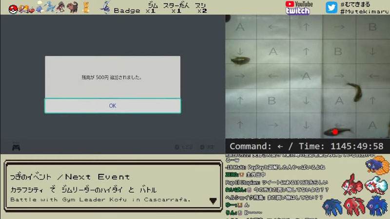 ペットの魚にクレカを勝手に使われた!?　奇跡的な珍事が「理解が追いつかない」「フィッシング詐欺（本物）」と話題