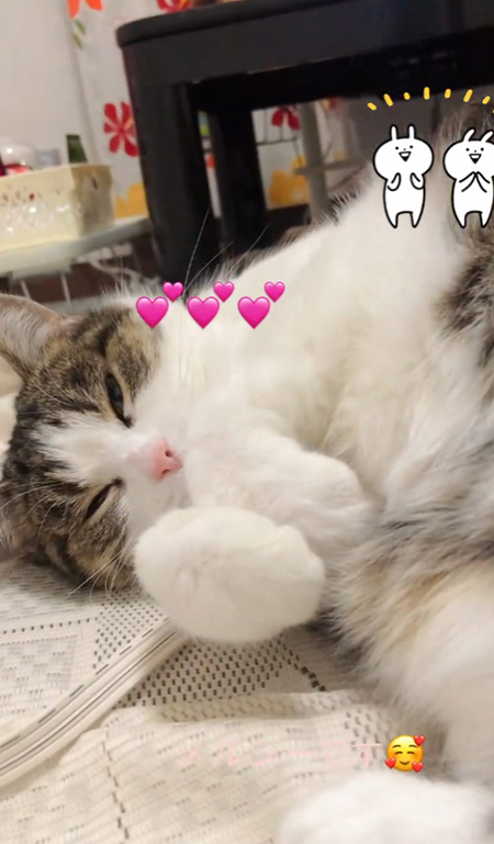 メルシーです冒頭