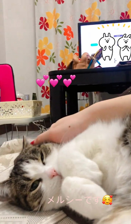 なでる飼い主さん