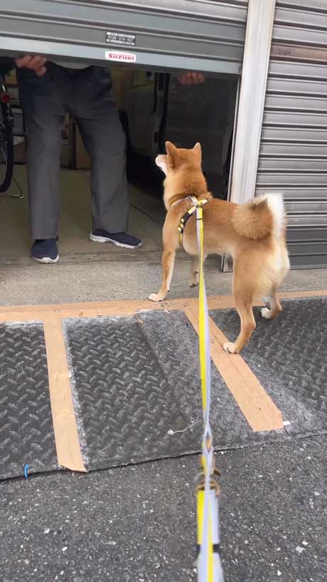 休みだったやおやさん