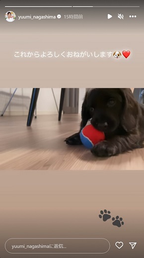 永島優美の愛犬・メルシー