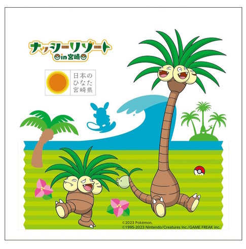 ナッシージェット宮崎