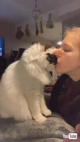 「Cat Has Big Thoughts on New Year's Eve || ViralHog」