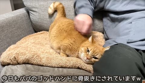 パパのゴッドハンドに骨抜きテロップ