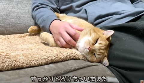 とろけちゃいましたテロップ