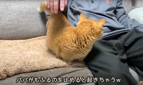 もふるのやめると起きちゃうテロップ