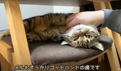 メルもすっかりゴッドハンドの虜テロップ