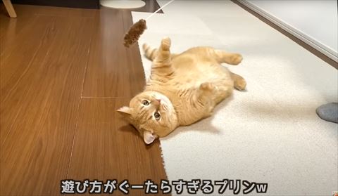 遊びがぐーたらテロップ