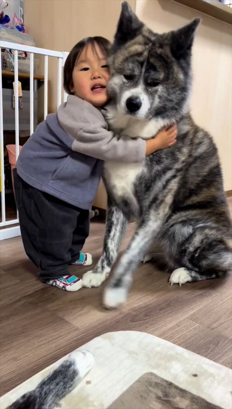 ワンコに抱きつく息子さん