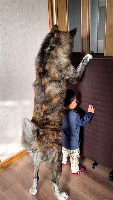 同じポーズをとる息子さんとワンコ