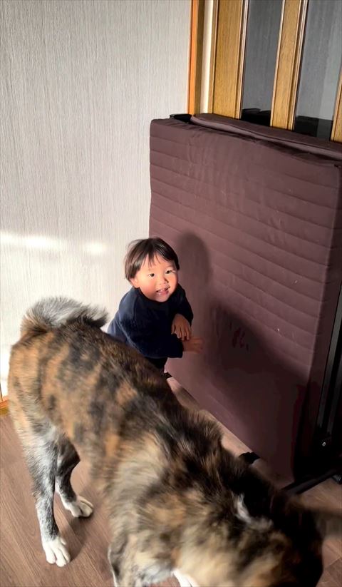 ワンコのお尻と息子さん